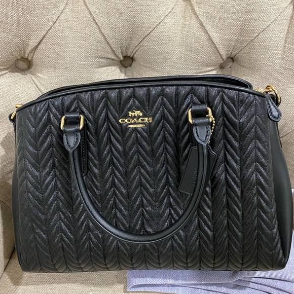 Coach sage carryall new with tags - Picture 6 of 10